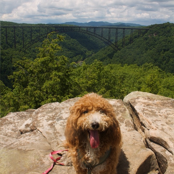 Meet your Posher, Ayanna - Picture 3 of 3